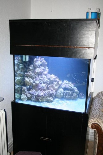 akvarie forfra.JPG