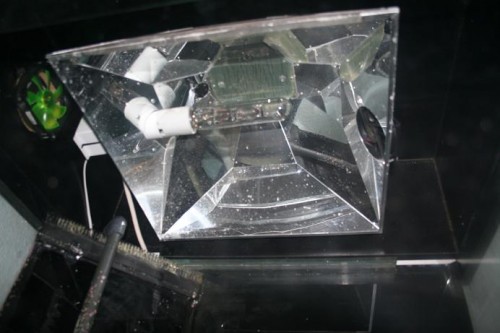 lampe1.JPG