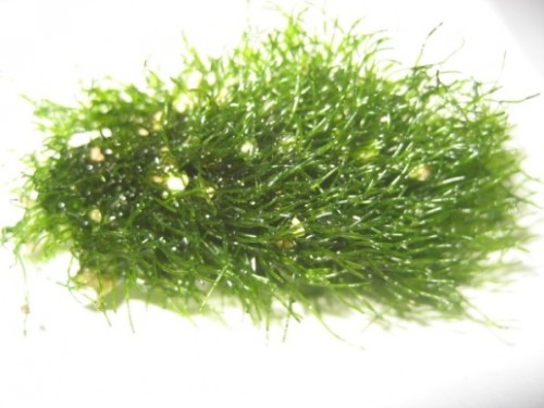 IMG_1625.jpg (97.91 KiB) Vist 2917 gange 4