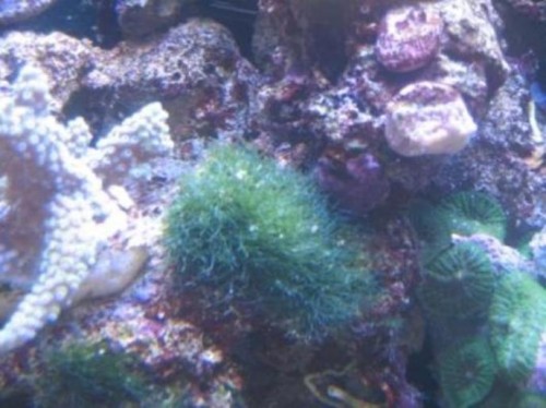 IMG_1629.jpg (58.02 KiB) Vist 2917 gange 1