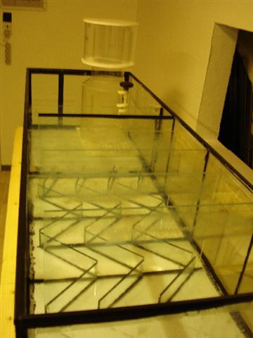 DSC01055 (Small).JPG