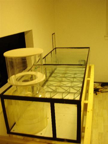 DSC01054 (Small).JPG