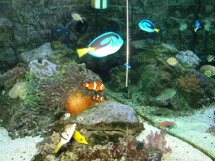 DSCF2241.JPG