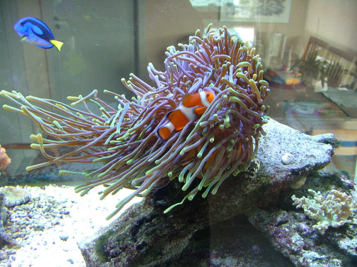 DSCF2234.JPG