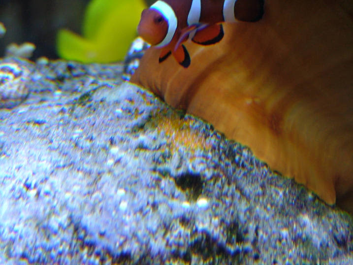 DSCF2243.JPG