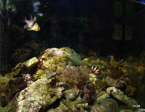 _IGP8306.JPG