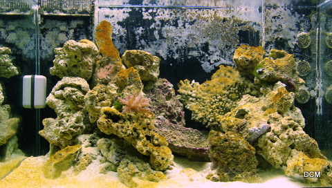 _IGP8295.JPG