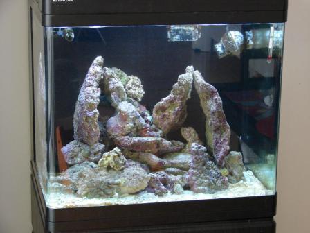 akvarie220309 (2)-1.jpg