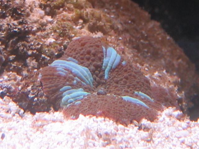 IMG_0431 (Small).JPG