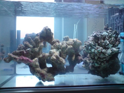 akvarie 3.jpg