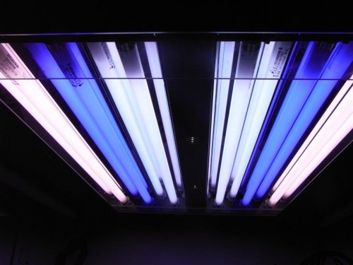 Den midterste lampe