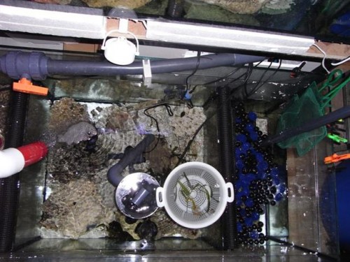 Sump