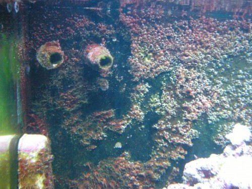 det sidder over hele væggen