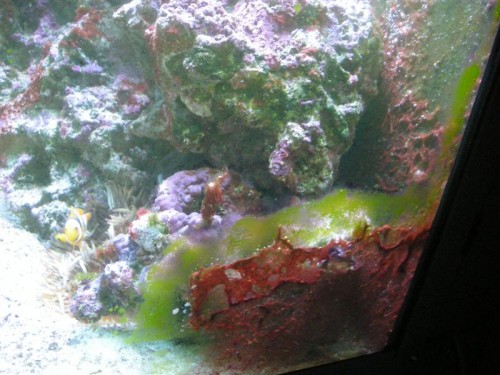 Det her er min egen skyld det sidder på glasset, men det er bare for at vise hvordan det ser ud, det er nemmere at se der