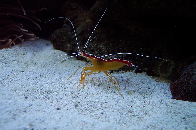 100_3397.JPG
