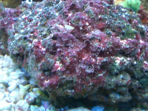 CIMG3528 (Medium).JPG