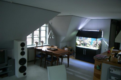 DCP_5701 (Large).JPG