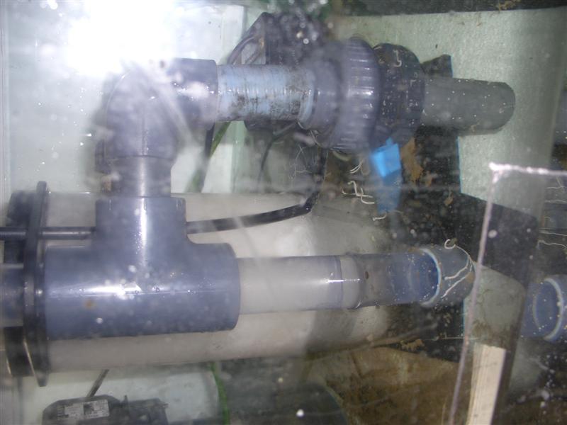 CIMG1915 (Medium).JPG