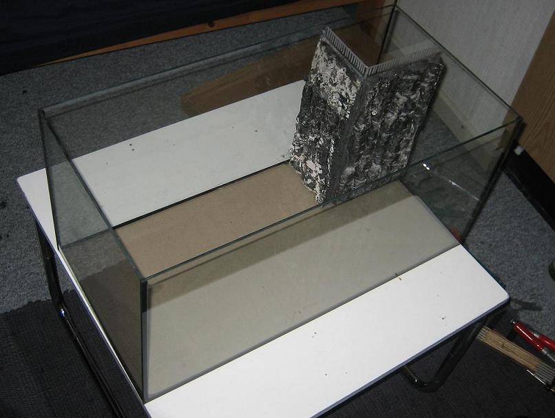 54 liters akvarie.JPG