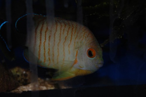 DSC_0076.jpg