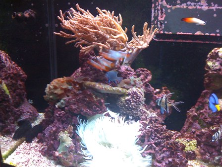 IMG_0372.JPG