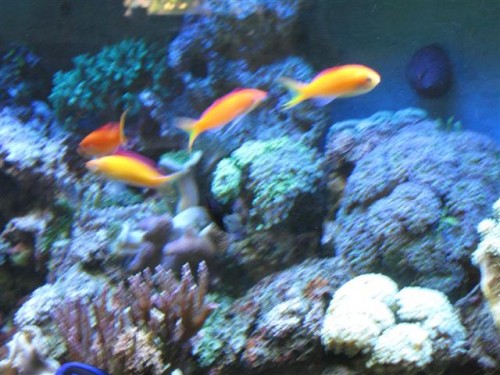 IMG_0089 (Small).jpg