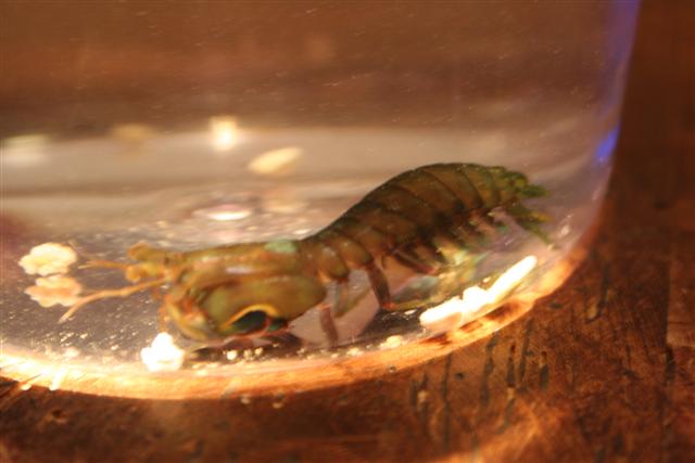 IMG_1971 (Small).JPG