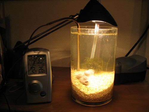 Opstilling af reserve "baljen", måtte lige bruge hvad jeg havde ved hånden.