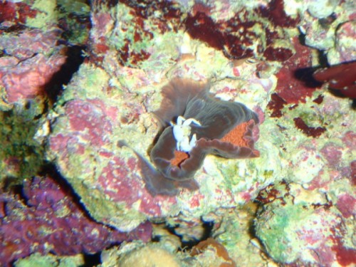 P5050497 (600 x 450).jpg