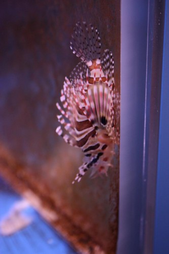 IMG_1836.JPG