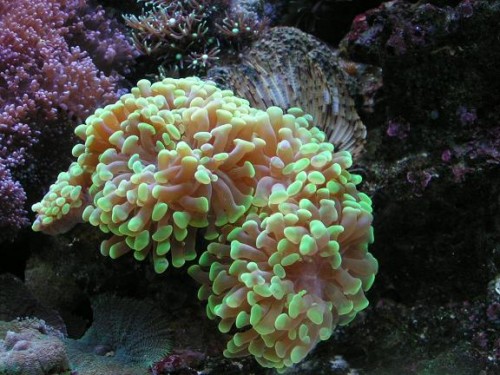 PICT0029.JPG