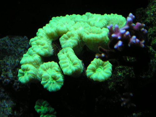 PICT0167.JPG