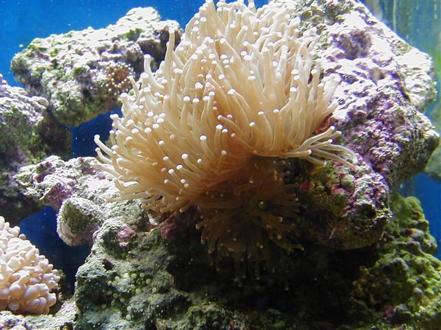 P1010042 (Small).JPG