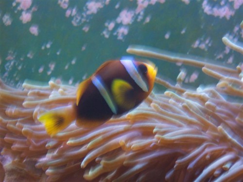 100_2187 (Medium).jpg