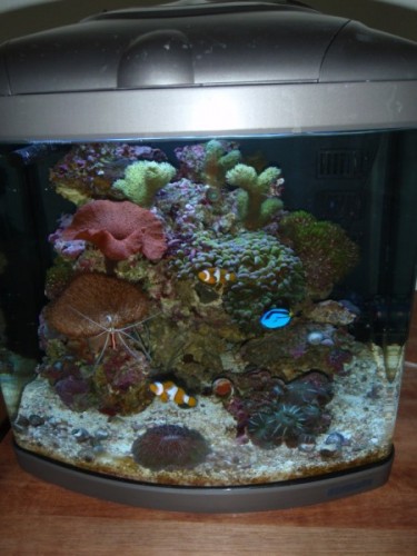 P5060498 (450 x 600).jpg