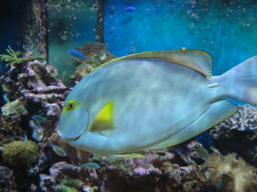 IMG_0577 (600 x 450).jpg