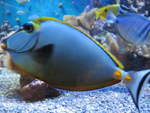 IMG_0593 (600 x 450).jpg