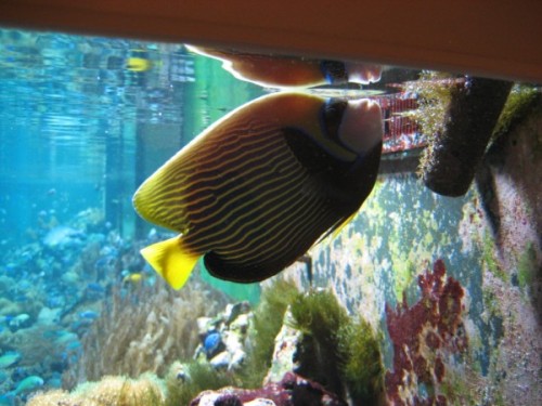 IMG_0580 (600 x 450).jpg