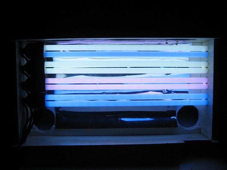 Billede 005.jpg