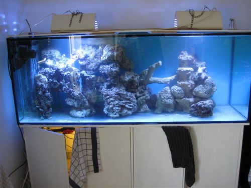 530'er (Large).jpg
