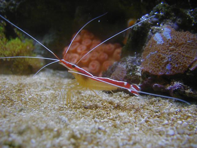 P1010092 (Small).JPG