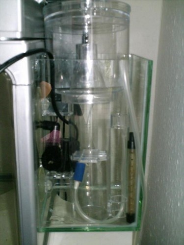 HPIM0972.JPG