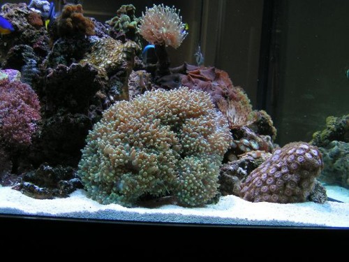 PICT0123.JPG