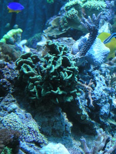 PICT0087.JPG