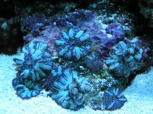PICT0093.JPG