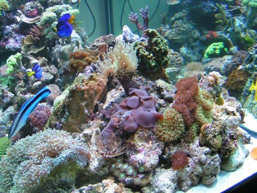 PICT0128.JPG