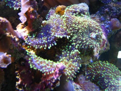 IMG_0617.JPG