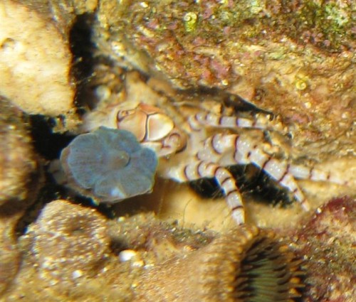 IMG_2112 (Medium).JPG