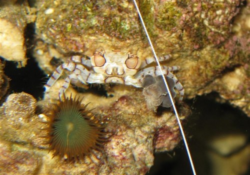 IMG_2113 (Medium).JPG