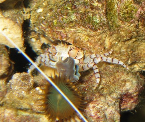 IMG_2114 (Medium).JPG